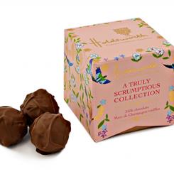 Box of Milk Chocolate Marc de Champagne Truffles 100g