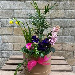 Hat Box Planter