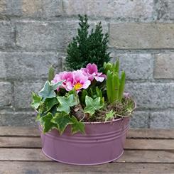 Seasonal Planter