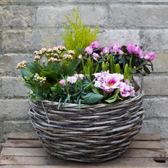 Large Wicker Planter