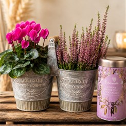 Autumn botanical planter and Luxury Hot Chocolate