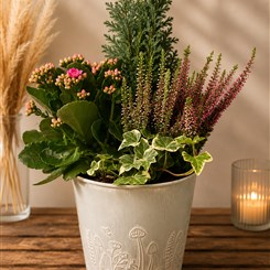 Enchanted Woodland Planter