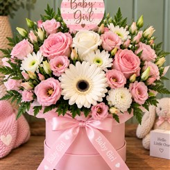 Baby Girl Habox