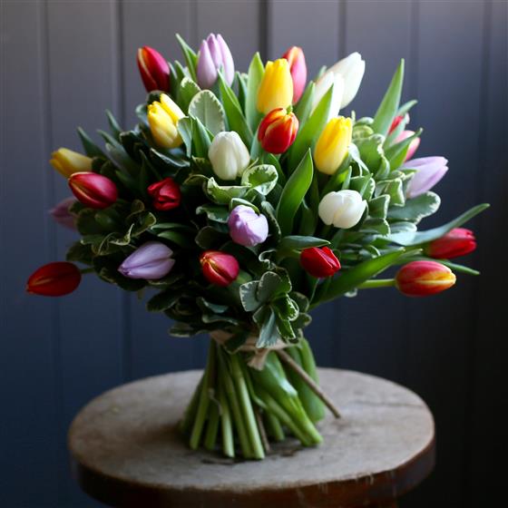 Simply Tulips Penn Hill Flower Company Florist Poole