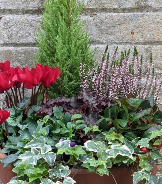 Seasonal Outdoor Planter